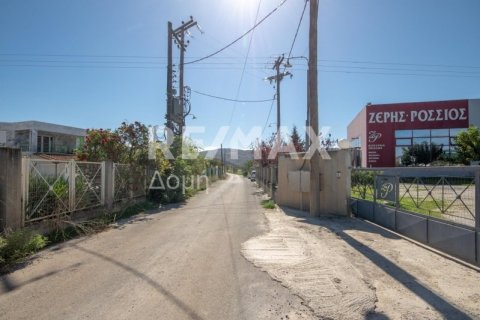 Земельный участок 620м² в Магнисия, Греция №27985 4