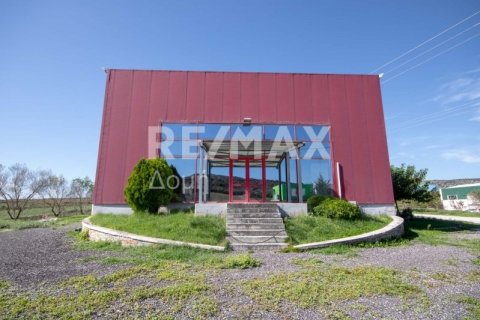 Земельный участок 620м² в Магнисия, Греция №27985 6