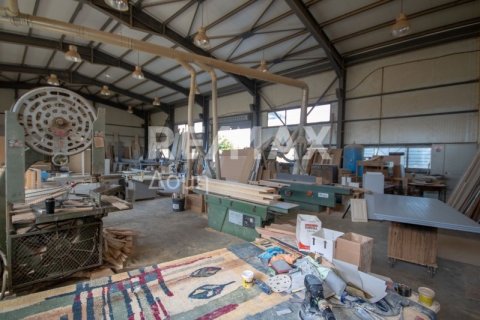 Земельный участок 620м² в Магнисия, Греция №27985 20