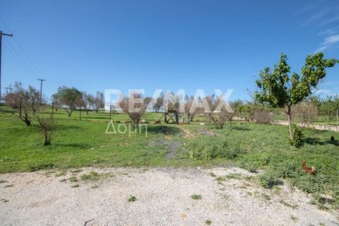 Земельный участок 620м² в Магнисия, Греция №27985 11