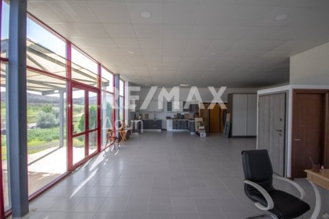 Земельный участок 620м² в Магнисия, Греция №27985 16