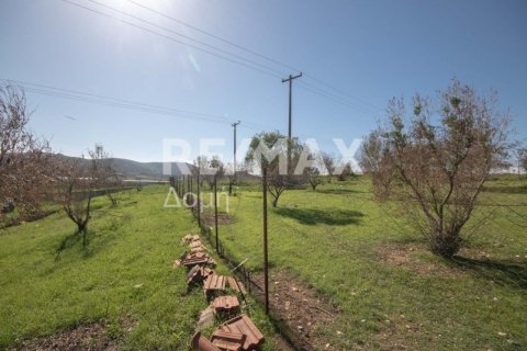 Земельный участок 620м² в Магнисия, Греция №27985 9