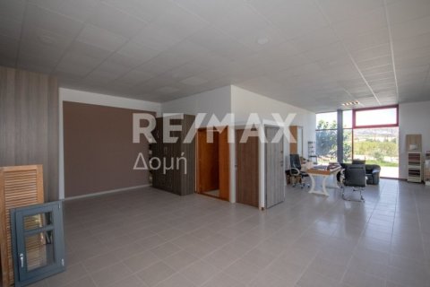 Земельный участок 620м² в Магнисия, Греция №27985 17