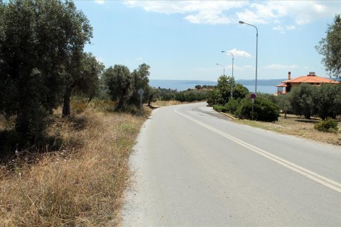 5568m² Land in Chalkidiki, Greece No. 60255 2