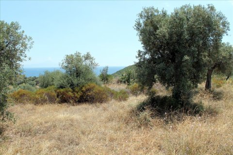 5568m² Land in Chalkidiki, Greece No. 60255 5