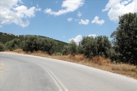 5568m² Land in Chalkidiki, Greece No. 60255 1