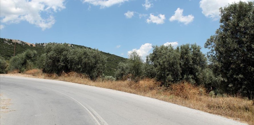 5568m² Land in Chalkidiki, Greece No. 60255