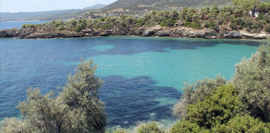 16500m² Land in Chalkidiki, Greece No. 56577