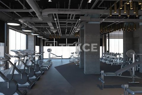 3 bedrooms Penthouse in Lam Cot, Vietnam No. 11616 15