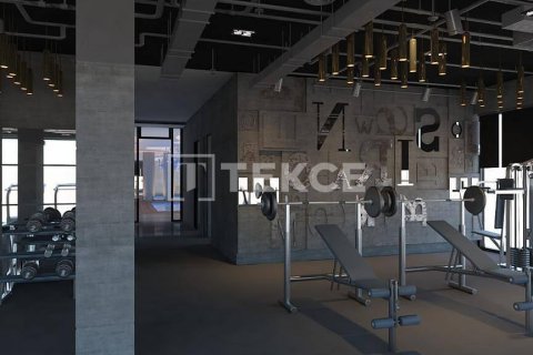 3 bedrooms Penthouse in Lam Cot, Vietnam No. 11616 14