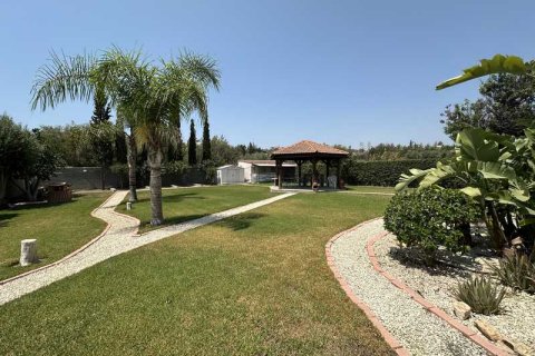 Вилла с 4 спальнями в Пареклисия, Кипр №84454 2