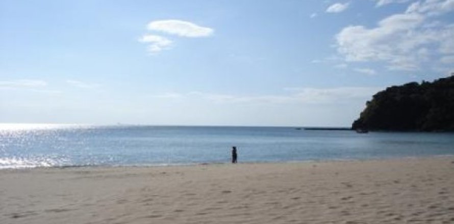 86400m² Land in Ko Lanta Yai, Thailand No. 96437