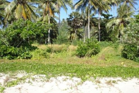 86400m² Land in Ko Lanta Yai, Thailand No. 96437 5