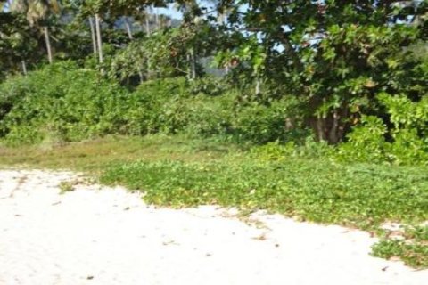 86400m² Land in Ko Lanta Yai, Thailand No. 96437 3