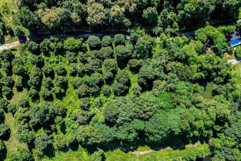 Land in Chiang Mai, Thailand No. 97707 4