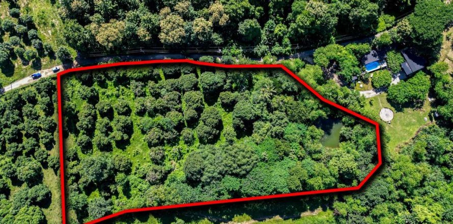 Land in Chiang Mai, Thailand No. 97707