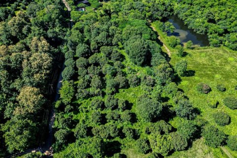 Land in Chiang Mai, Thailand No. 97707 2