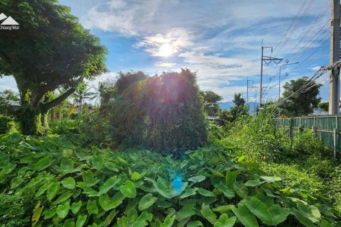 Land in Chiang Mai, Thailand No. 98087 4