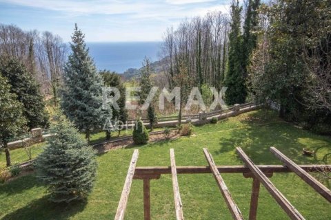 Дом с 4 спальнями в Магнисия, Греция №28006 25