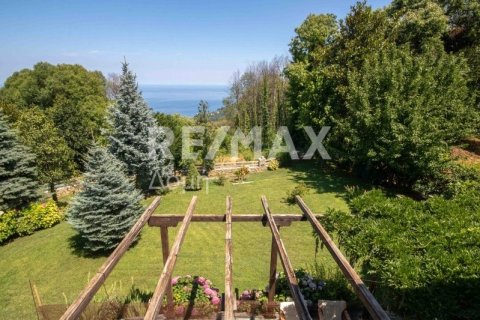 Дом с 4 спальнями в Магнисия, Греция №28006 22