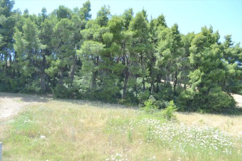 3 chambres House à Chalkidiki, Greece No. 59155 19