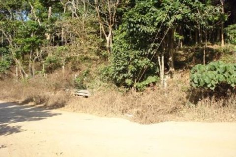 97600m² Land en Ko Lanta Yai, Thailand No. 96436 2