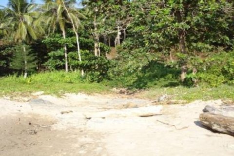 97600m² Land en Ko Lanta Yai, Thailand No. 96436 4
