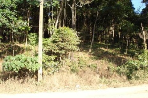 97600m² Land en Ko Lanta Yai, Thailand No. 96436 3