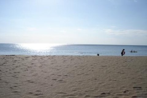 97600m² Land en Ko Lanta Yai, Thailand No. 96436 5