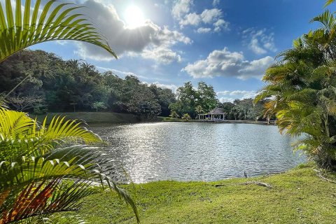 4 bedrooms House in El Arado, Panama No. 70601 6