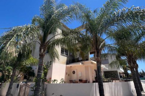 6 bedrooms Villa in Kato Polemidia, Cyprus No. 101086 2