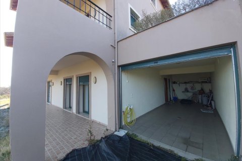 5 bedrooms Villa in Dion, Greece No. 56605 16