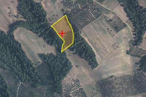 15250m² Land à Chalkidiki, Greece No. 107869 4