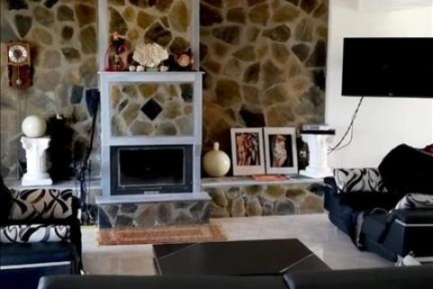 381m² Business in Magnesia, Greece No. 57602 16