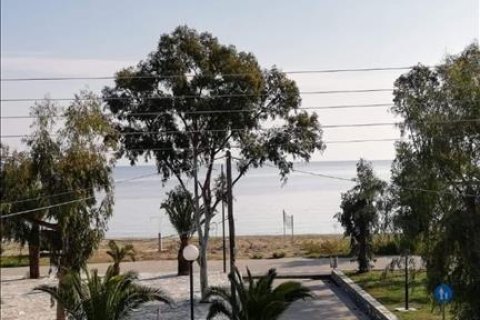 381m² Business in Magnesia, Greece No. 57602 14