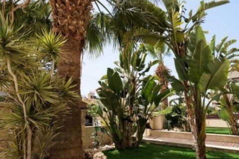 6 bedrooms Villa in Paphos, Cyprus No. 84394 7