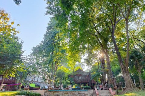 9 chambres Commercial property à Chiang Mai, Thailand No. 98162 19