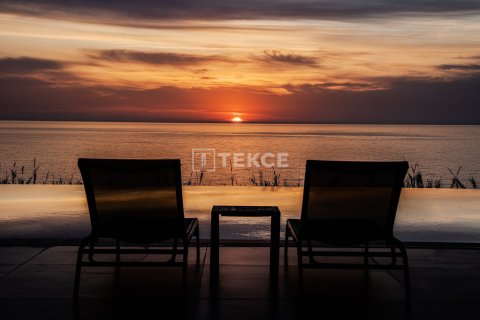 3 chambres Penthouse à Chau Lang, Vietnam No. 84945 8