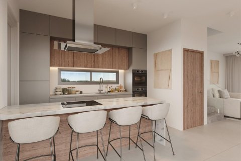 3 chambres House à Paphos, Cyprus No. 99839 9