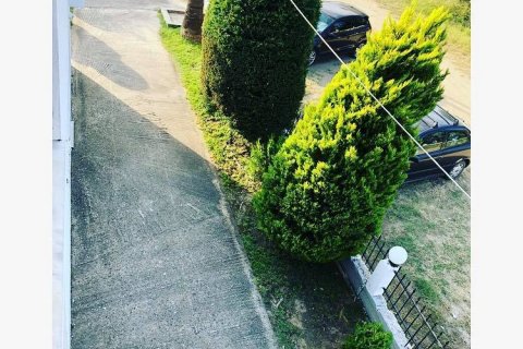 13 rooms Hotel in Chalkidiki, Greece No. 107849 27