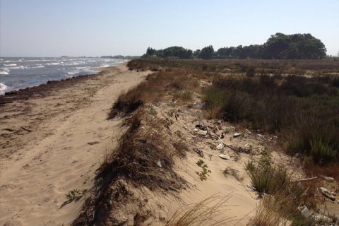 14000m² Land in Elis, Greece No. 60332 3