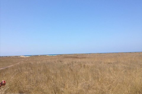 14000m² Land in Elis, Greece No. 60332 1