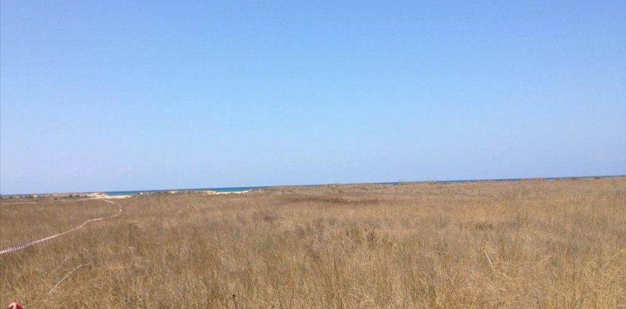 14000m² Land in Elis, Greece No. 60332