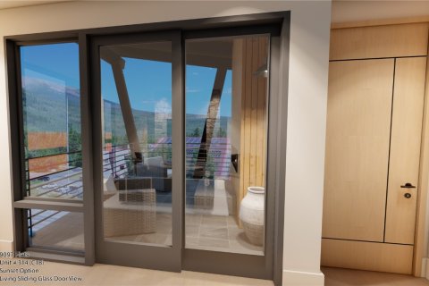 2 bedrooms Condo in Frisco, USA No. 62321 27