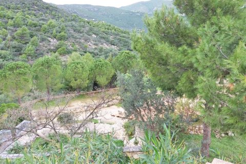 Дом в Закинтос, Греция №24713 15