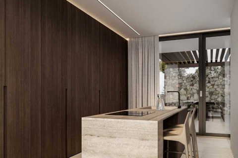 3 bedrooms Villa in Pegeia, Cyprus No. 29388 11