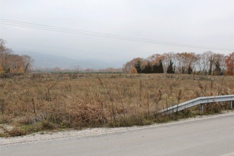 40000m² Land in Dion, Greece No. 57737 1