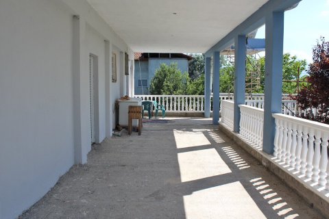 15 rooms Affaires à Pieria, Greece No. 55952 25