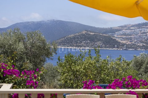 4 dormitorios Villa en Phuoc Tuy, Vietnam No. 95487 19