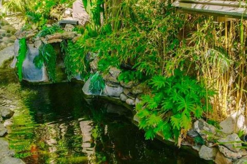 5 bedrooms Villa in Agios Athanasios, Cyprus No. 80745 7